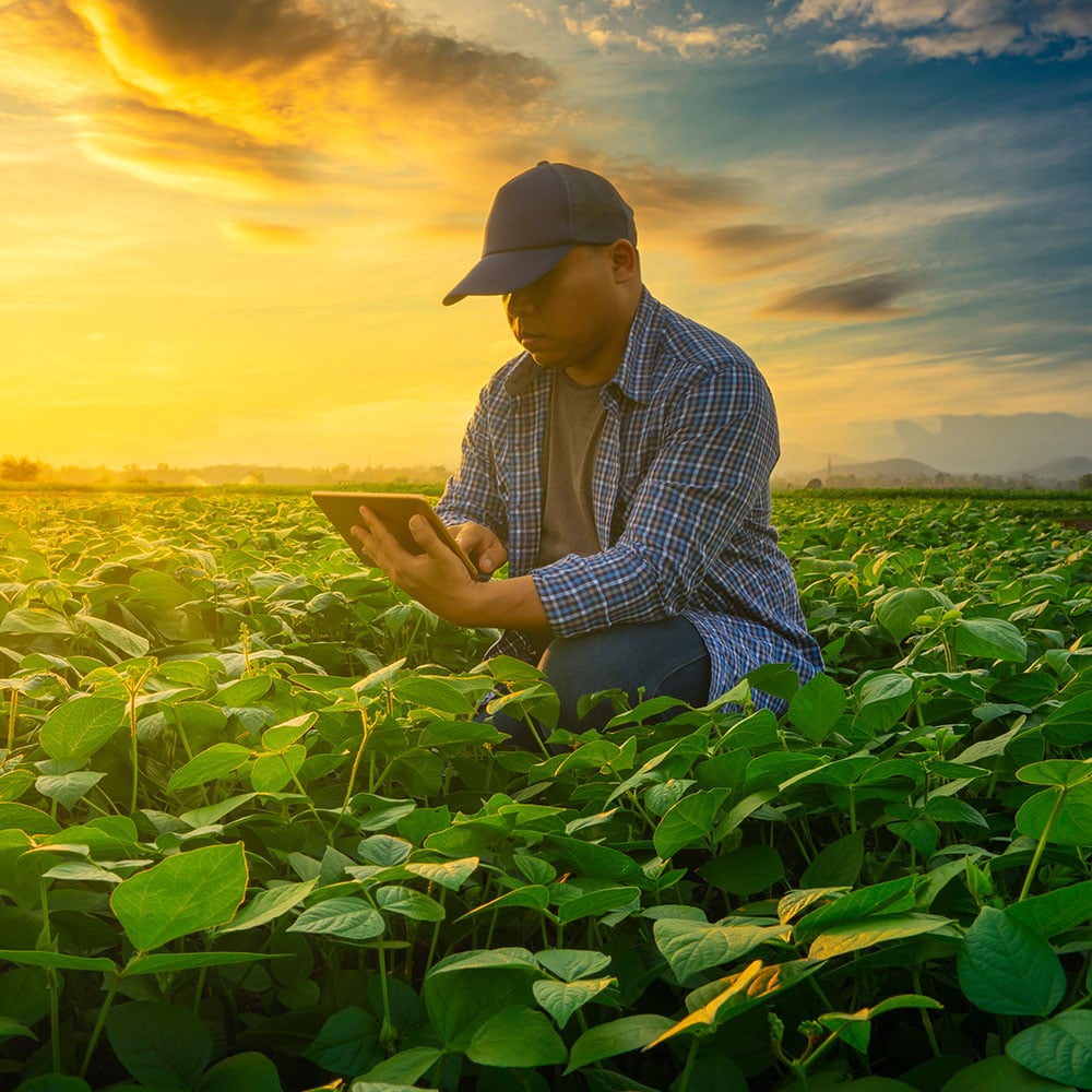Agriculture1000x1000
