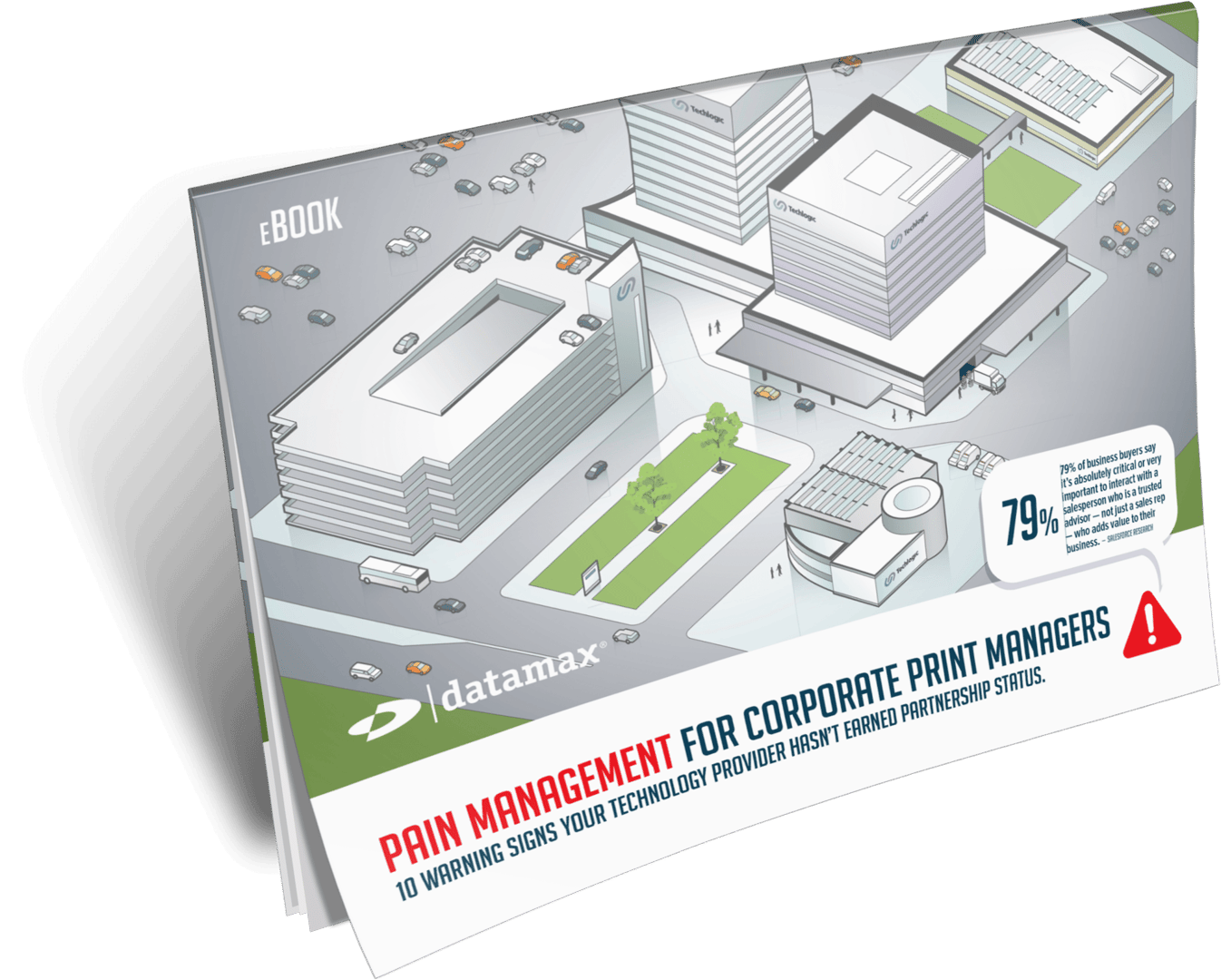Pain Management for Corporate Print Managers e-Book