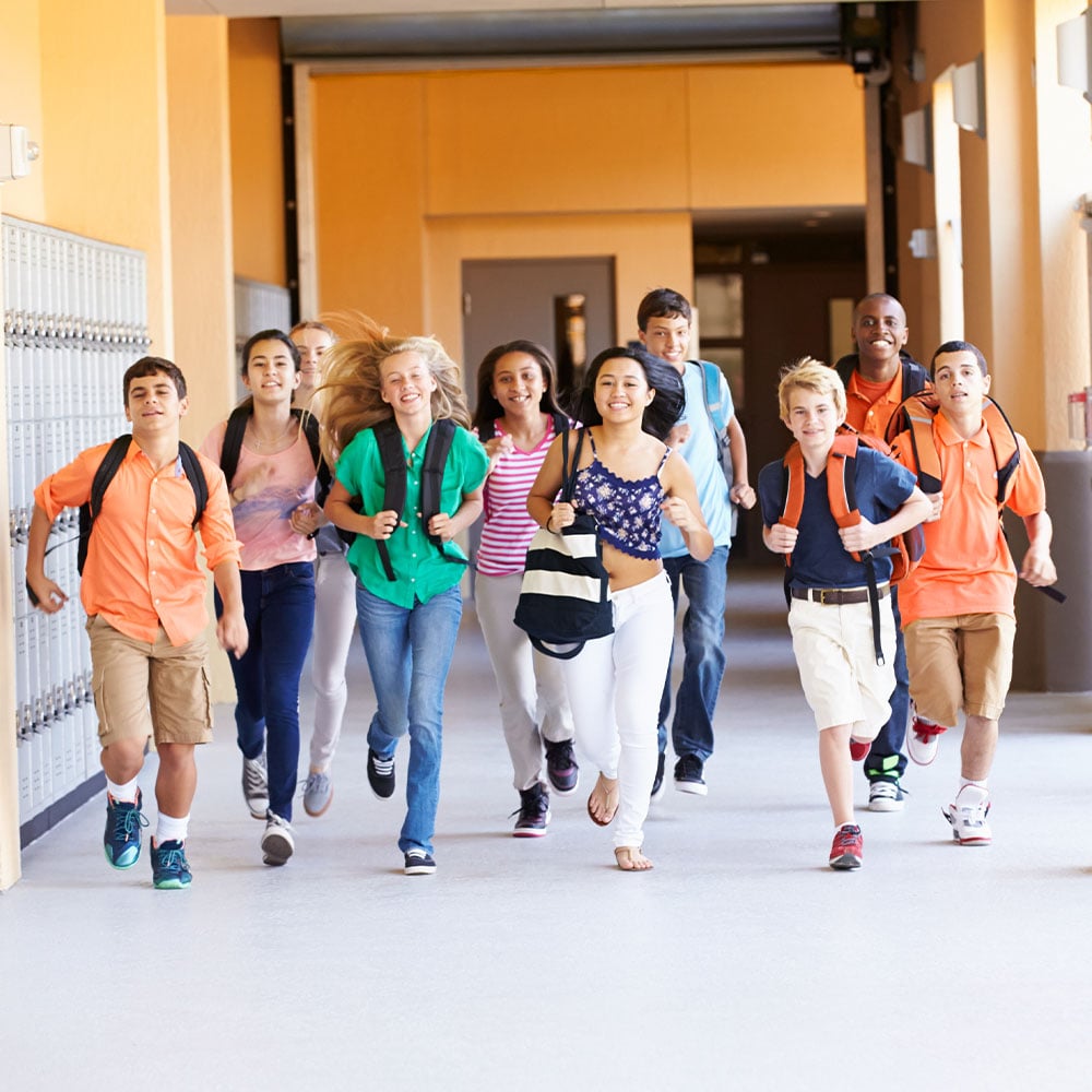 Education-Section4-1000x1000