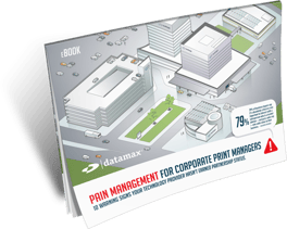 Pain Management for Corporate Print Managers e-Book