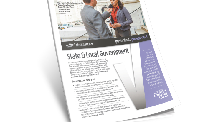 Industry Snapshot: Government
