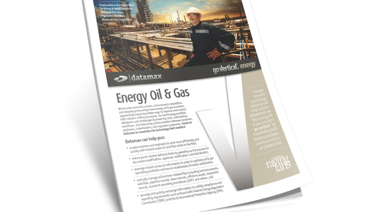 Industry Snapshot: Energy Oil & Gas