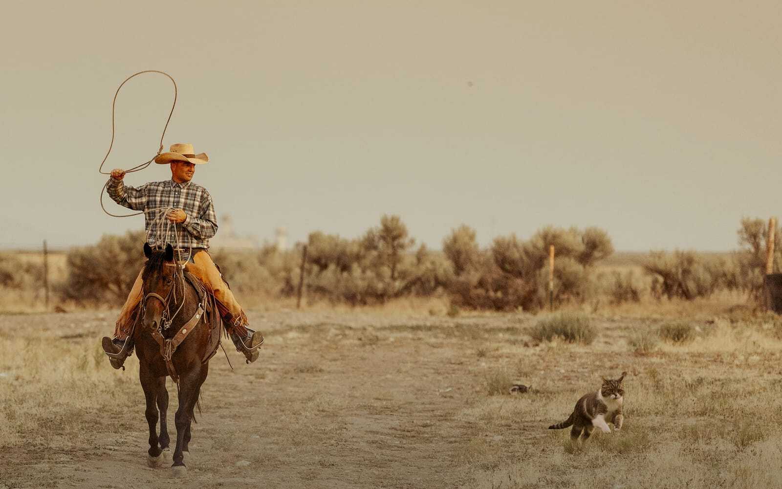 Managing Workflow Feel Like Herding Cats? Consider a Technology Assessment
