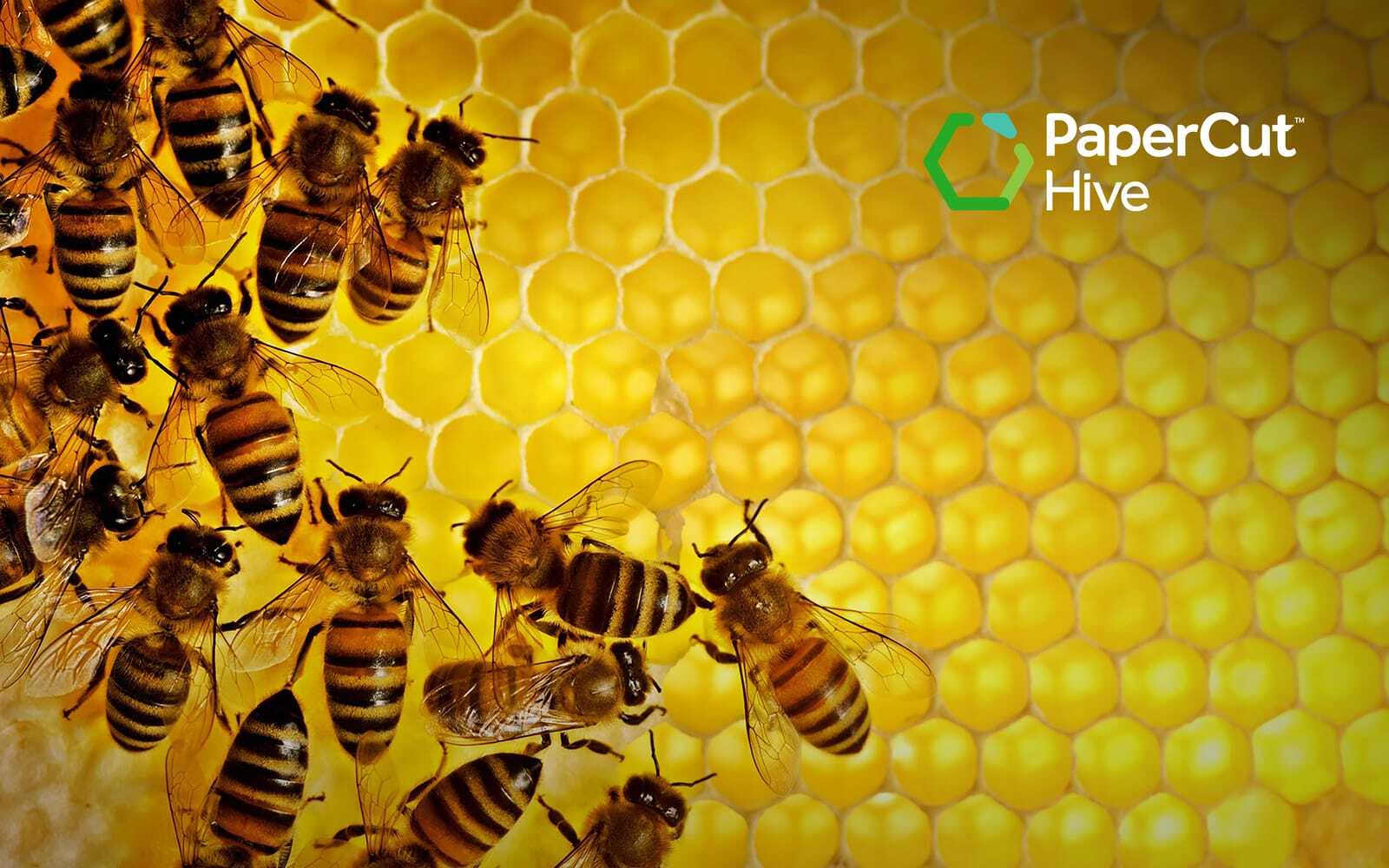 The Buzz Behind Papercut Hive: Cloud-driven Print Management