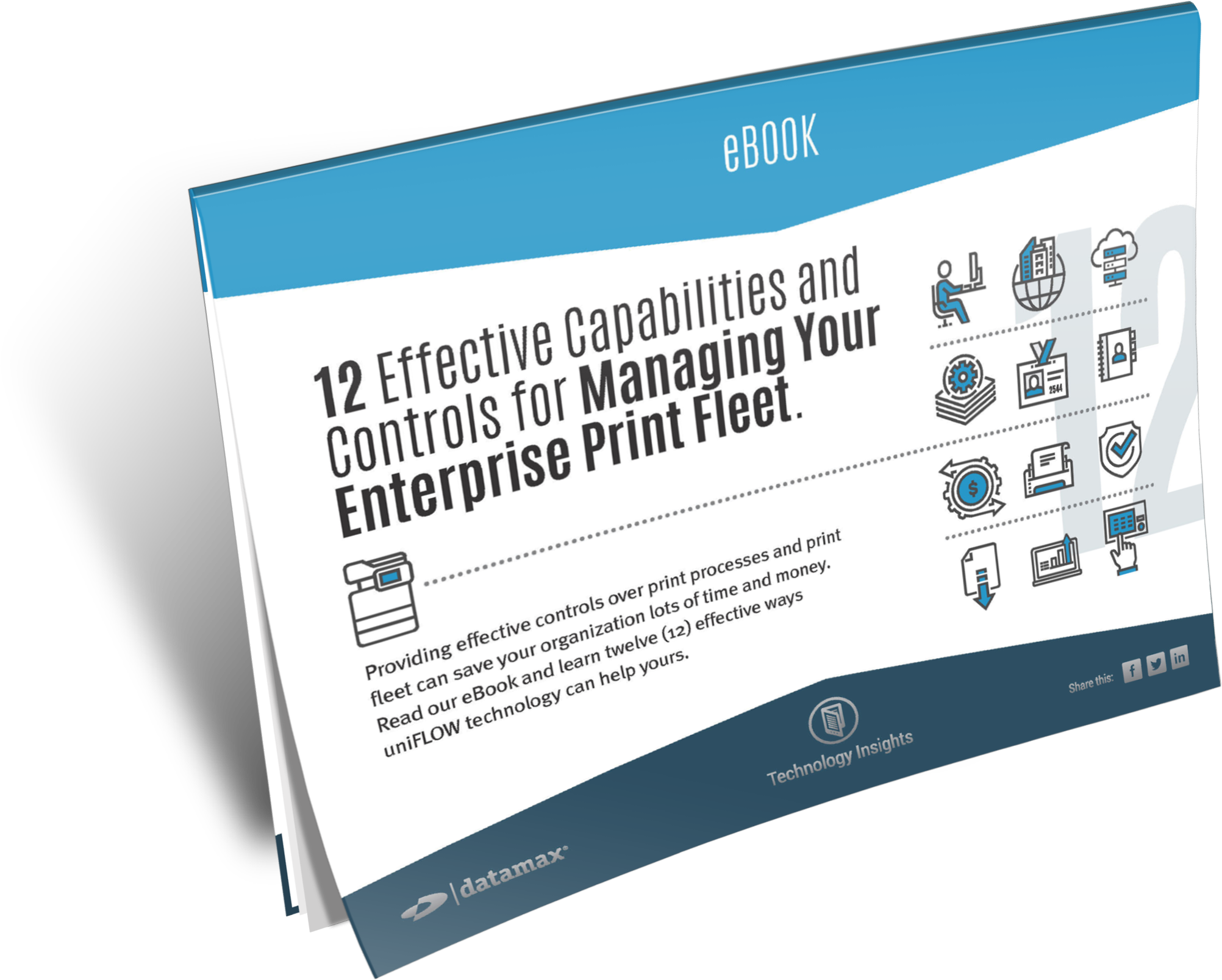 ebook_effective_capabilities_controls.png
