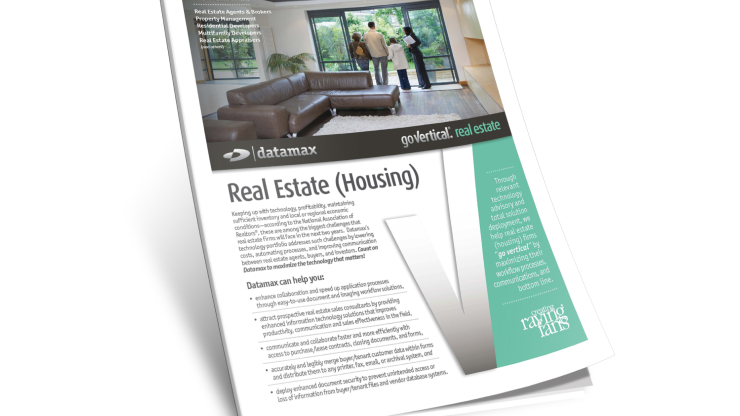 Industry Snapshot: Real Estate (Housing)